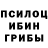 Галлюциногенные грибы GOLDEN TEACHER Ann Holliday