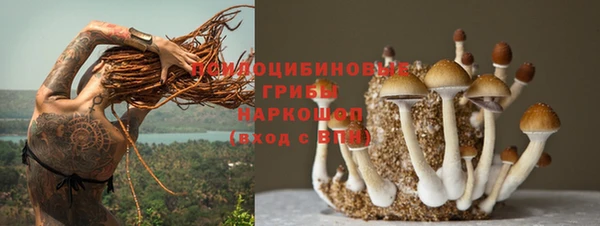 мяу мяу кристалл Магас