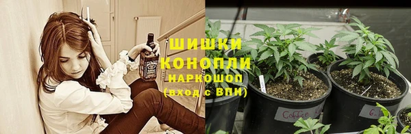 ешки Майский