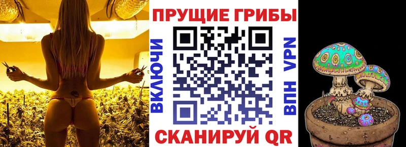 Купить где  Новохопёрск  Галлюциногенные грибы мухоморы 